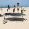 Trampoline Ladder