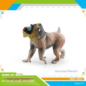 Simulation Forest Animal African White Lion Black Crown Macaque Ferret Manchuria Warthog Koala Python Model Toy (Option: 81g)