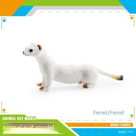 Simulation Forest Animal African White Lion Black Crown Macaque Ferret Manchuria Warthog Koala Python Model Toy (Option: Ferret 11g)