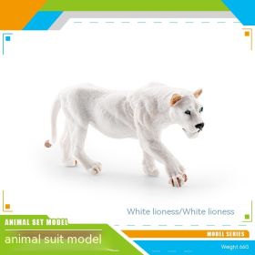 Simulation Forest Animal African White Lion Black Crown Macaque Ferret Manchuria Warthog Koala Python Model Toy (Option: White Lioness 66g)